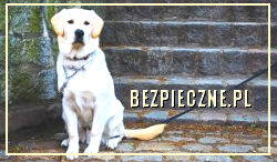 ubezpieczenia, bezpieczeństwo, kredyty