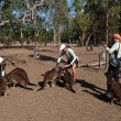 Zostawił raka w tyle i pokonał 10 tysięcy kilometrów na rowerze. Joachim Czerniak wrócił z niezwykłej wyprawy po Australii